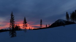 IMG_7482.jpg