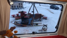 IMG_7546.jpg