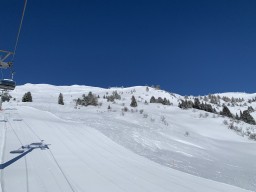 IMG_1541.jpeg