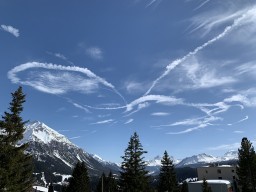IMG_3475.jpeg