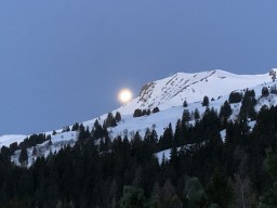 IMG_3467.jpeg