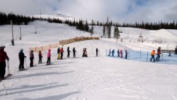 IMG_7773.jpg
