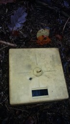 20161020_134835.jpg