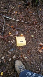 20161020_134854.jpg