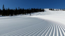schnee.jpg