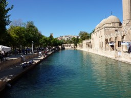 P1020115.JPG