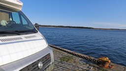 IMG_7995.jpg