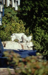 068 - Rätsel.jpg