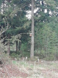 a9d433f9-02ce-4bc6-89a4-5393ef64c0db.jpg