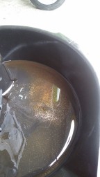 IMG-20190402-WA0039.jpeg