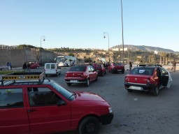 P1050250.JPG