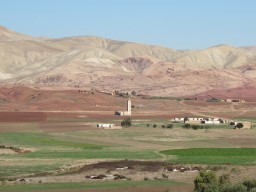 IMG_1687.JPG