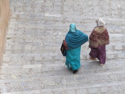 IMG_1584.JPG