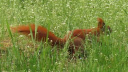 IMG_8385.jpg