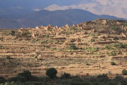 IMG_8877.JPG