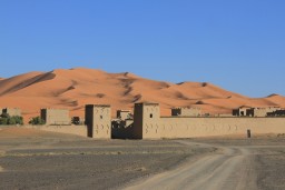 IMG_8379.JPG
