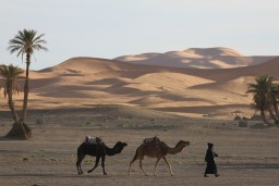 IMG_8464.JPG