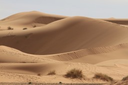 IMG_8476.JPG