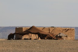 IMG_8566.JPG