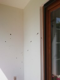 IMG_20210528_120933.jpg