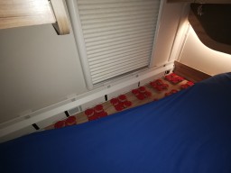 IMG_20201101_110827.jpg