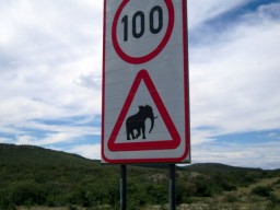3-Namibia 2010_-1860.JPG