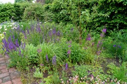 DSC07107.JPG