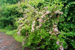 DSC07108.JPG