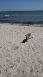 IMG-20210603-WA0028.jpeg