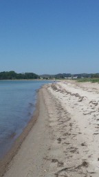 IMG-20210603-WA0017.jpeg