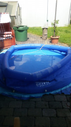 IMG-20210611-WA0012.jpg