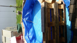 IMG-20210618-WA0019.jpeg