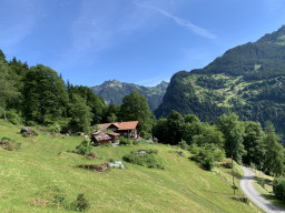IMG_1698.jpeg