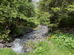 IMG_1716.jpeg
