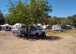IMG_20210706_122924~2.jpg