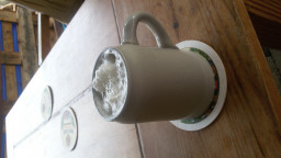 IMG-20210620-WA0033.jpeg
