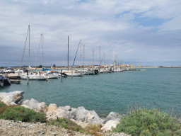 IMG_20210706_145128.jpg