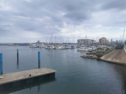 IMG_20210706_140313.jpg