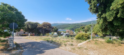 20210618_090835.jpg