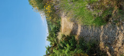 20210618_094253.jpg