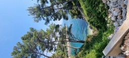 20210618_101858.jpg