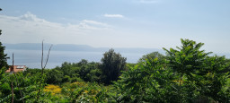 20210622_093341.jpg