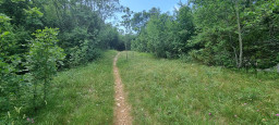 20210622_104244.jpg