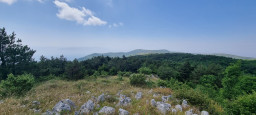 20210622_104821.jpg
