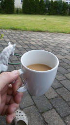 IMG-20210627-WA0000.jpeg