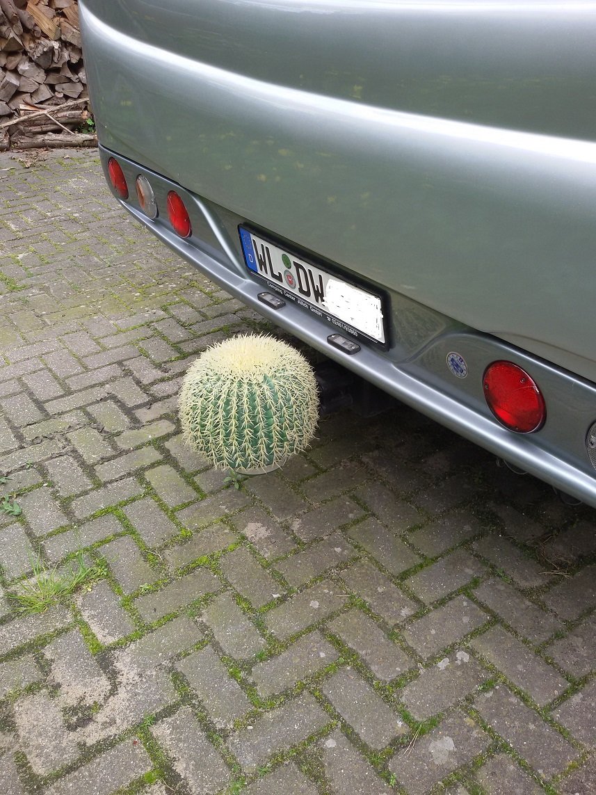 20170518_170955.jpg