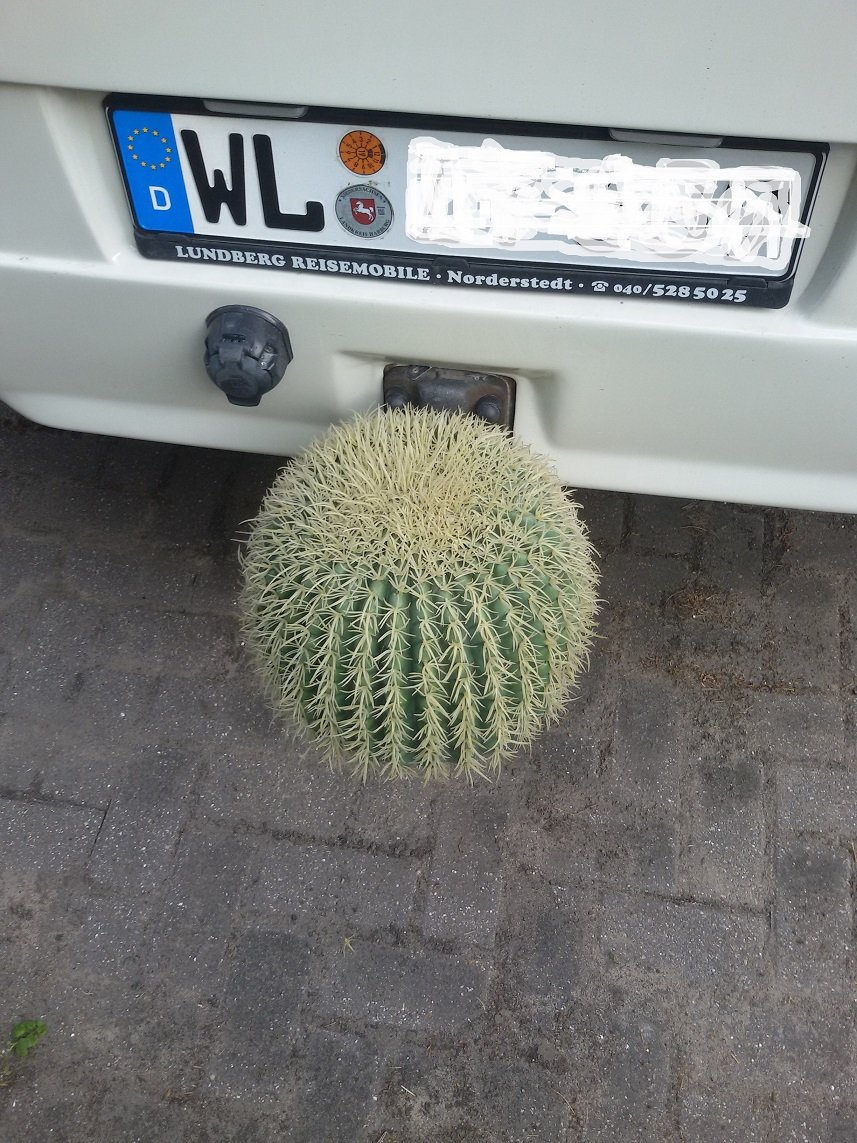 20180531_193803.jpg