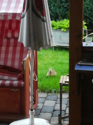IMG-20210819-WA0012.jpeg