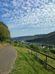 IMG-20210905-WA0004.jpg