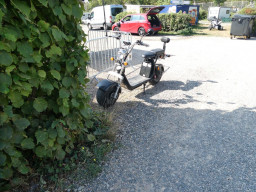 Lumix Urlaub 2021 Sommer025.jpg